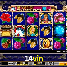 14vin Cassino - 80+ Mesas ao Vivo