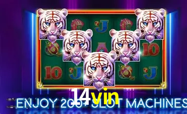 Jogos de Cassino ao Vivo